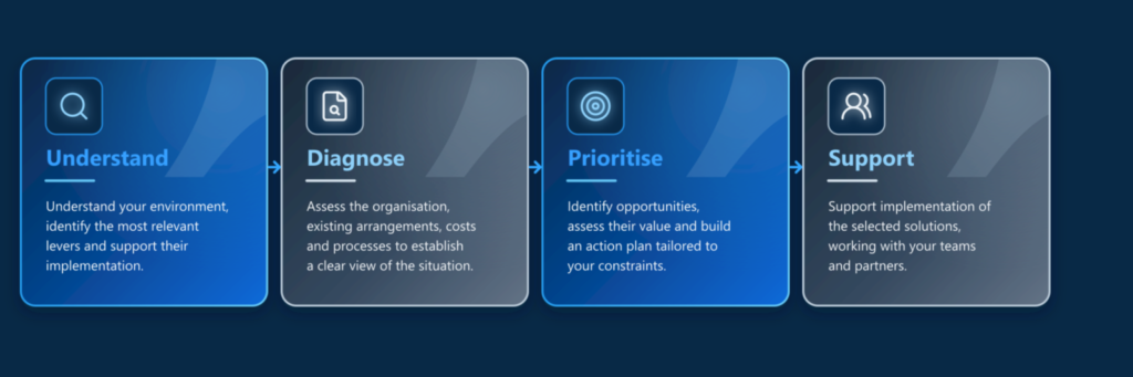 Thesauros Consulting approach: understand, diagnose, prioritise and support
