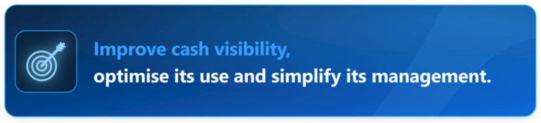 Cash, working capital and treasury visibility optimisation