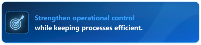 Payment security, financial controls and fraud prevention